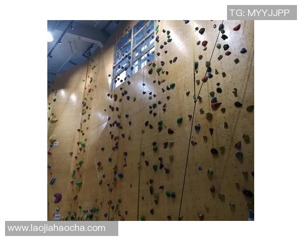 南京攀岩队引领最新攀岩意识前十名榜单的崛起与发展