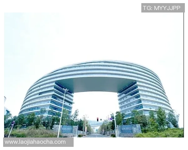 武汉羽毛球队的崛起与发展探索展现羽毛球运动的无限魅力与力量