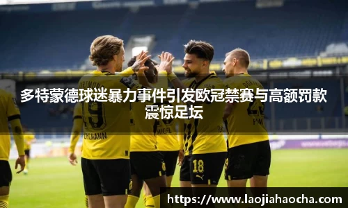 多特蒙德球迷暴力事件引发欧冠禁赛与高额罚款震惊足坛