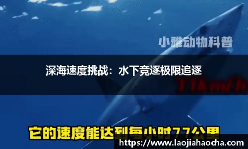 星空游戏官方网站